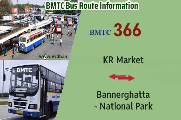 BMTC 366 - KR Market to Bannerghatta National Park, Bannerghatta National Park to KR Market Bus Route Information