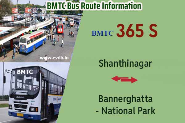 BMTC 365S - Shanthinagar Bus Station to Bannerghatta National Park, Bannerghatta National Park to Shanthinagar Bus Station Bus Route Information