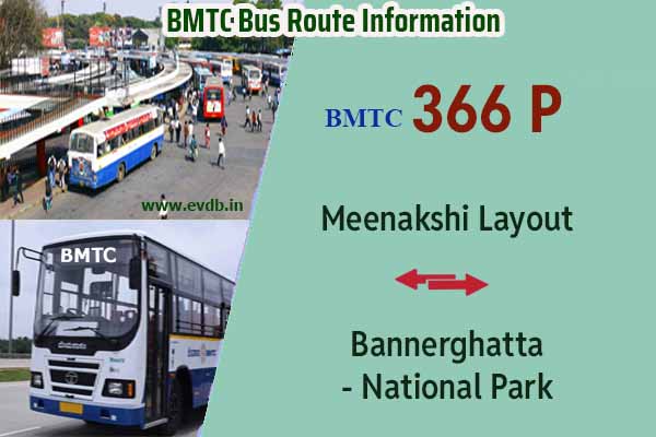 BMTC 366P - Meenakshi Layout to Bannerghatta National Park, Bannerghatta National Park to Meenakshi Layout Bus Route Information