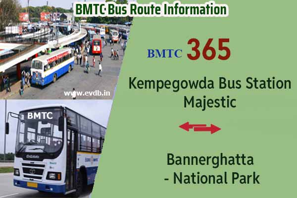 BMTC 365 - Kempegowda Bus Station Majestic to Bannerghatta National Park, Bannerghatta National Park to Majestic Bus Route Information