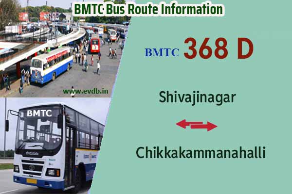 BMTC 368D - Shivajinagar to Chikkakammanahalli, Chikkakammanahalli to Shivajinagar Bus Route Information