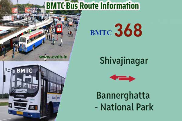 BMTC 368 - Shivajinagar to Bannerghatta National Park, Bannerghatta National Park to Shivajinagar Bus Route Information