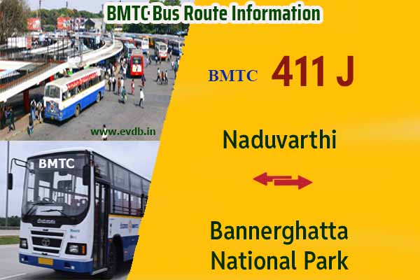 BMTC 411J - Bannerghatta National Park to Naduvarthi, Naduvarthi to Bannerghatta National Park Bus Route Information